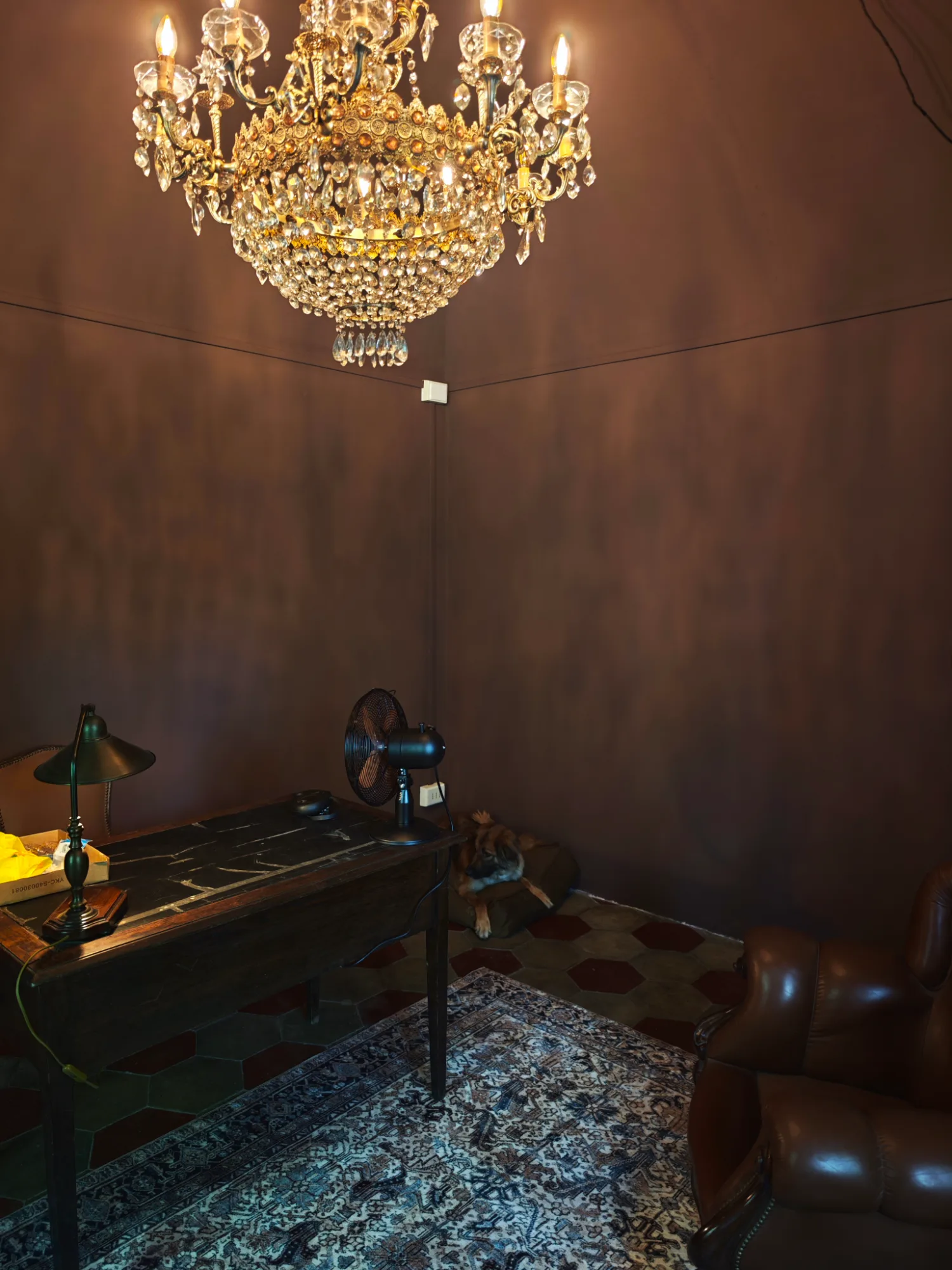 The atelier: a dark room under a crystal chandelier, with a wooden desk and a dog asleep beside it
